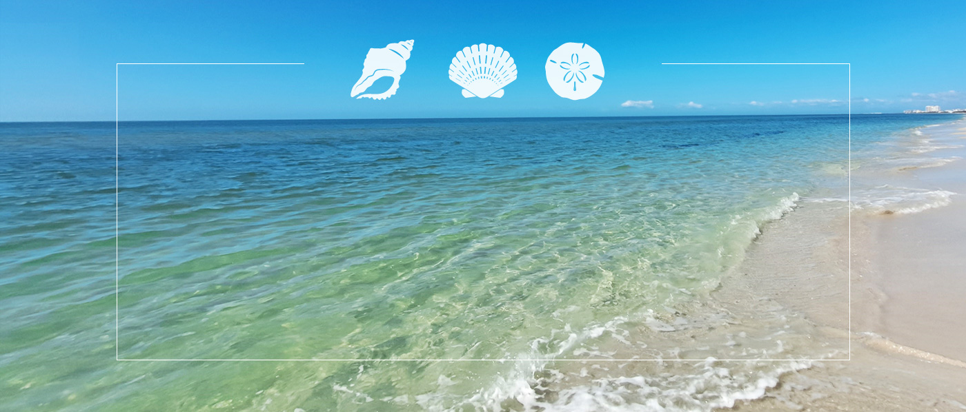 Villa Sea Shell in Cape Coral